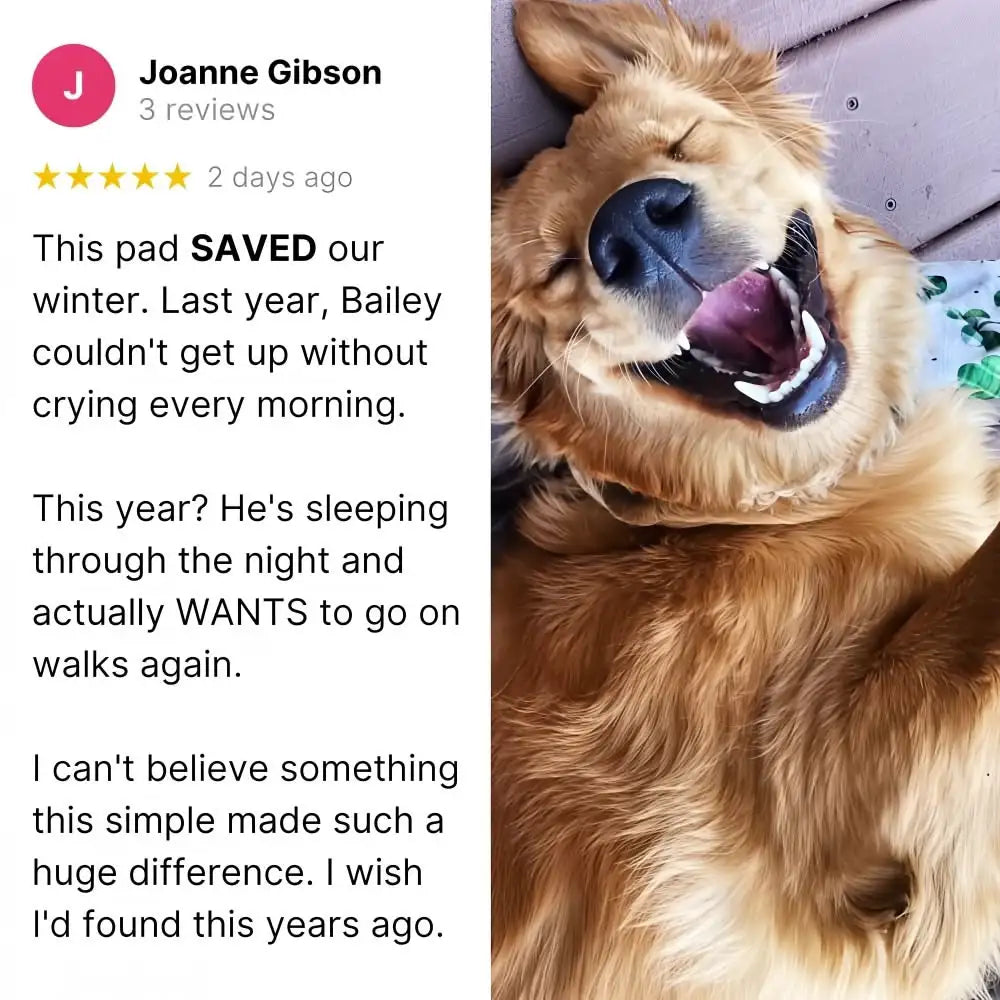 Self Warming Pet Mat