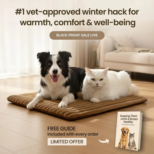 Self Warming Pet Mat